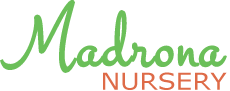 Madrona Nursery